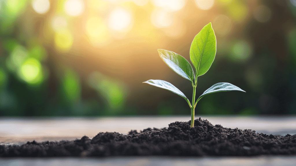 ambiente de trabalho positivo em pequenas empresas
